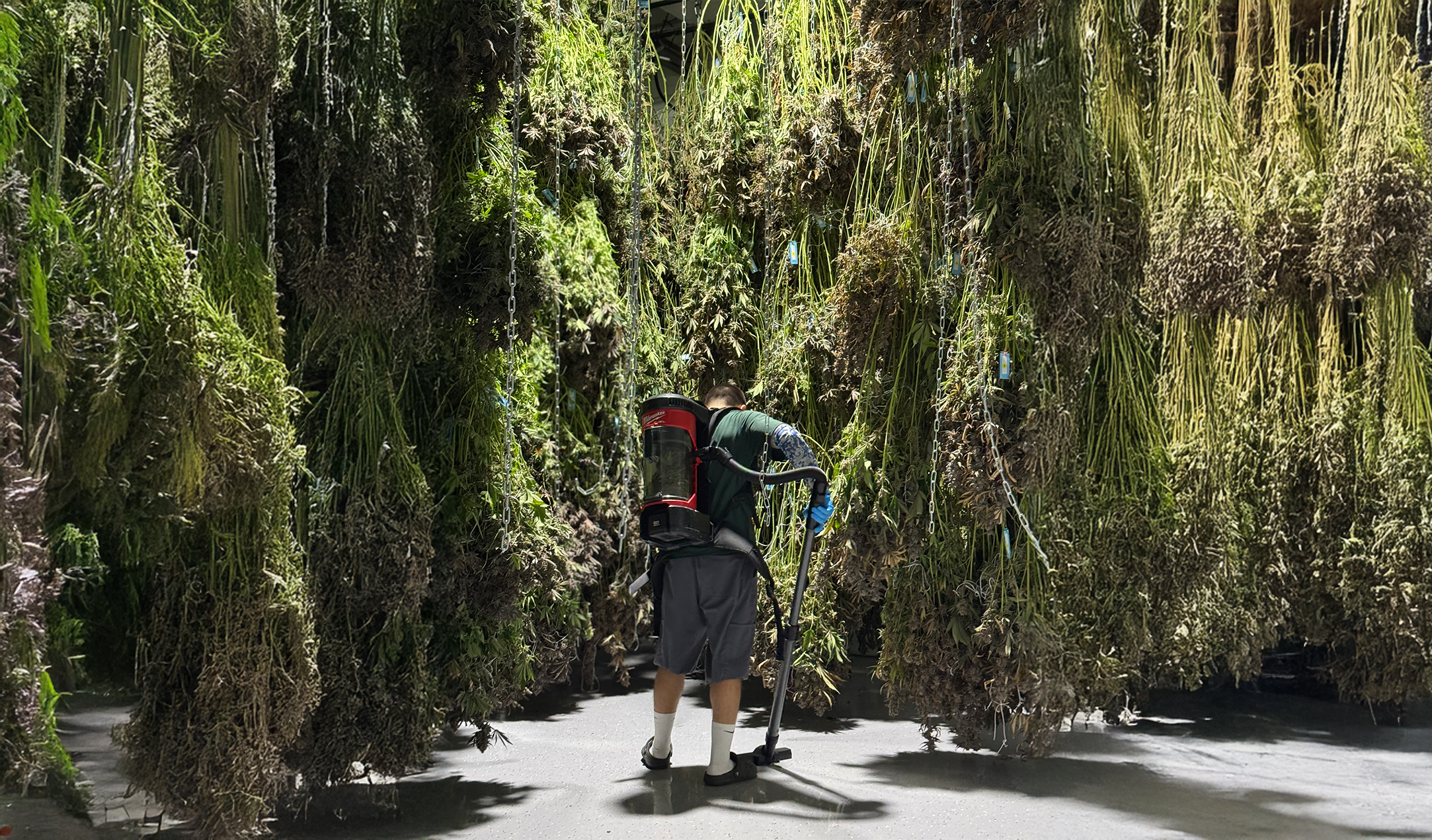 Emerald Gardens